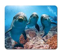 Destination Vinyl Ltd Cute Dolphins Mouse Mat Pad - Underwater Diving Scuba Fun PC Computer #8336