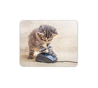 Destination Vinyl Ltd Cute Kitten Hunting Mouse Mat Pad - Tortoise Shell Cat Fun Computer #14602