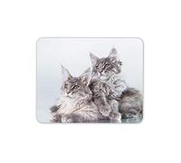 Destination Vinyl Ltd Cute Maine Coon Kitten Cat Mouse Mat Pad - Feline Mum Aunt Computer #15729
