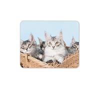 Destination Vinyl Ltd Cute Maine Coon Kittens Mouse Mat Pad - Feline Friends Cat Computer #16053
