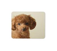 Destination Vinyl Ltd Cute Poodle Puppy Mouse Mat Pad - Brown Dog Mum Sister Desk Computer #15368
