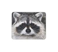 Destination Vinyl Ltd Cute Raccoon Mouse Mat Pad - Wild Animal Racoon American Computer #14190