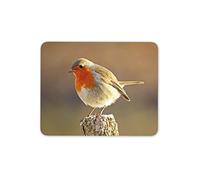 Destination Vinyl Ltd Cute Robin Redbreast Bird Mouse Mat Pad - British UK Birds Computer #8701