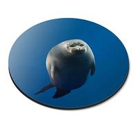 Destination Vinyl Ltd Cute Seal Baikal Lake Russia - Flexible Round 5mm Rubber Mouse Mat Pad Office Home Novelty Printed Desk Accessory 3646
