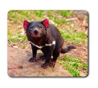 Destination Vinyl Ltd Cute Tasmanian Devil Animal Mouse Mat Pad Computer PC Laptop Gaming Office Home Desk Accessory Gadget 2201