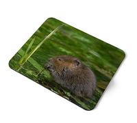 Destination Vinyl ltd Cute Water Vole Wild Animal Mouse Flexible Rectangle 5mm Rubber Mouse Mat Pad Office Home Novelty Printed Desk Accessory #52788