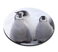 Destination Vinyl ltd Five Emperor Penguin Chicks Antarctica - Flexible Round 5mm Rubber Mouse Mat Pad Office Home Novelty Printed Desk Accessory - 45027