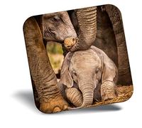 Destination Vinyl ltd Fridge Magnet - Baby African Elephant Herd Africa Animal for Office, Cabinet and Whiteboard, Magnetic Stickers, 44192