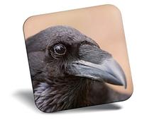Destination Vinyl ltd Fridge Magnet - Black Raven Bird Crow Wild Horror 24090