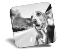 Destination Vinyl ltd Fridge Magnet bw - Funny Basset Hound Dog Pets #39498