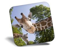 Destination Vinyl ltd Fridge Magnet - Fun Giraffe African Wild Animal 21593