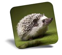 Destination Vinyl ltd Fridge Magnet - Hedgehog Garden Wildlife British 8246