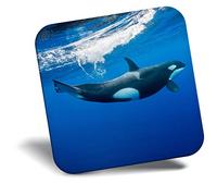 Destination Vinyl ltd Fridge Magnet - Orca Killer Whale Underwater 2006