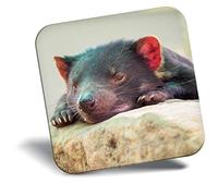 Destination Vinyl ltd Fridge Magnet - Sleepy Tasmanian Devil Animal 2202