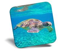 Destination Vinyl ltd Fridge Magnet - Tropical Sea Turtle Ocean Wild Surf 24170
