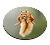 Destination Vinyl ltd Funny Jumping Red Squirrel Flexible Round 5mm Rubber Mouse Mat Pad Office Home Novelty Printed Desk Accessory #63117