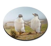 Destination Vinyl Ltd Gentoo Penguin Funny Penguins - Flexible Round 5mm Rubber Mouse Mat Pad Office Home Novelty Printed Desk Accessory 21578