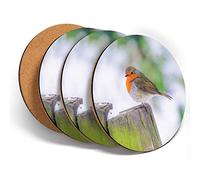 Destination Vinyl ltd Great Coasters (Set of 4) Round - Little Robin Redbreast Winter Drink Glossy Coasters/Tabletop Protection for Any Table Type #45580