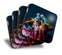 Destination Vinyl Ltd Great Coasters (Set of 4) Square - Peacock Mantis Shrimp Diving Drink Glossy Coasters/Tabletop Protection for Any Table Type #3562