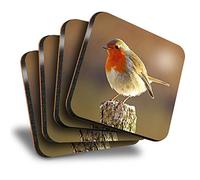 Destination Vinyl Ltd Great Coasters (Set of 4) Square - Robin Redbreast Bird Animals Birds Drink Glossy Coasters/Tabletop Protection for Any Table Type #8701