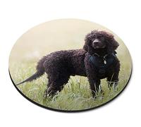 Destination Vinyl Ltd Irish Water Spaniel Dog Puppy Flexible Round 5mm Rubber Mouse Mat Pad Office Home Novelty Printed Desk Accessory #51235