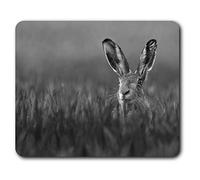 Destination Vinyl ltd Lepus Wild European Hare Rabbit Mouse Mat Pad Computer PC Laptop Gaming Office Home Desk Accessory Gadget #37868