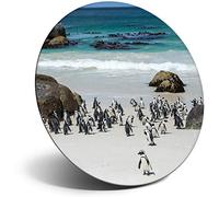 Destination Vinyl ltd Magnet for Refrigerator, Fridge - Boulders Beach Penguins Cape Town for Office, Cabinet and Whiteboard, Magnetic Stickers, 16260
