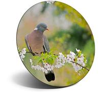 Destination Vinyl ltd Magnet for Refrigerator, Fridge - Common Wood Pigeon Bird for Office, Cabinet and Whiteboard, Magnetic Stickers, 44688