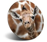 Destination Vinyl ltd Magnet for Refrigerator, Fridge - Cute Baby Giraffe Face Wildlife for Office, Cabinet and Whiteboard, Magnetic Stickers, 12323