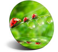 Destination Vinyl ltd Magnet for Refrigerator, Fridge - Cute Lady Bird Garden Wildlife for Office, Cabinet and Whiteboard, Magnetic Stickers, 8245