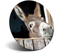 Destination Vinyl Ltd Magnet for Refrigerator, Fridge - Funny Cute Donkey Animal Horse Wild for Office, Cabinet and Whiteboard, Magnetic Stickers, 8260