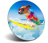 Destination Vinyl Ltd Magnet for Refrigerator, Fridge - Funny Surfing Jack Russell Dog for Office, Cabinet and Whiteboard, Magnetic Stickers, 12874