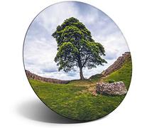 Destination Vinyl Ltd Magnet for Refrigerator, Fridge - Hadrian's Wall Northumberland for Office, Cabinet and Whiteboard, Magnetic Stickers, 2196