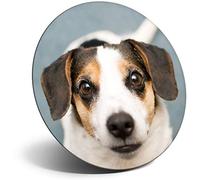 Destination Vinyl ltd Magnet for Refrigerator, Fridge - Jack Russell Terrier Puppy Dog Pet for Office, Cabinet and Whiteboard, Magnetic Stickers, 16290