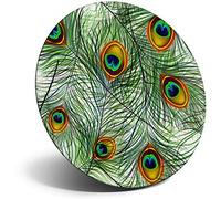 Destination Vinyl ltd Magnet for Refrigerator, Fridge - Pretty Peacock Feather Bird for Office, Cabinet and Whiteboard, Magnetic Stickers, 13098