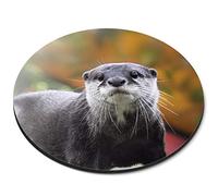Destination Vinyl Ltd Otter Wild Animal Nature - Flexible Round 5mm Rubber Mouse Mat Pad Office Home Novelty Printed Desk Accessory 12642