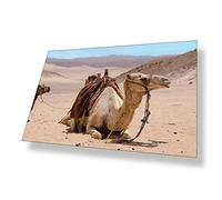 Destination Vinyl ltd Poster A4 Camel Arabic Desert Animal Art Print 29.7 X 21 cm 280gsm Satin Gloss Photo Paper #50437