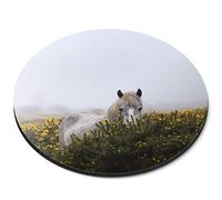 Destination Vinyl Ltd Round Mouse Mat - Dartmoor Pony Devon England Office - RM3228
