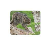Destination Vinyl Ltd Scottish Wildcat Mouse Mat Pad - Great Britain Nature Computer #16321
