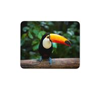 Destination Vinyl Ltd Toucan Bird Mouse Mat Pad - Tropical Jungle South America Computer #15772