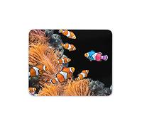Destination Vinyl Ltd Unique Clown Fish Mouse Mat Pad - Tropical Reef Ocean Computer #15261