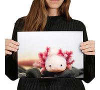Destination Vinyl Posters A4 - Axolotl Aquarium Dragon Fish Art Print 29.7 X 21 cm 280gsm satin gloss photo paper #3066