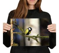 Destination Vinyl Posters A4 - Great Tit Small Bird Art Print 29.7 X 21 cm 280gsm satin gloss photo paper #45208