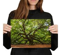 Destination Vinyl Posters A4 - Old Tree Forest Nature Oak Art Print 29.7 X 21 cm 280gsm satin gloss photo paper #2868