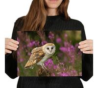 Destination Vinyl Posters A4 - Pretty Barn Owl in the Forest Art Print 29.7 X 21 cm 280gsm satin gloss photo paper #15813