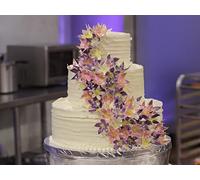 Destination Wedding
