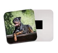 DestinationVinyl 1 x Beautiful Rottweiler Fridge Magnet - Guard Dog Puppy Rottie Cute Fun #8629