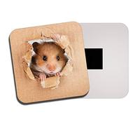 DestinationVinyl 1 x Cheeky Hamster Fridge Magnet - Mice Mouse Gerbil Rat Cute Kids Funny #8521