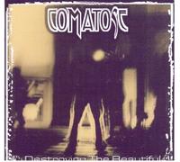 Destroying The Beautiful