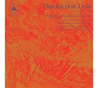Destruction Unit - Negative Feedback Resistor [VINYL]